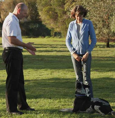 Ian The Dog Trainer