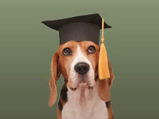 well educated dog m